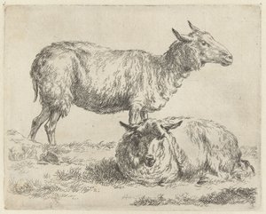 Staand en liggend schaap Schape by Nicolaes Pietersz Berchem