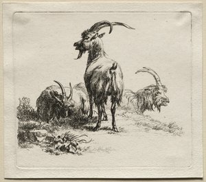 Üç Keçi. by Nicolaes Pietersz. Berchem