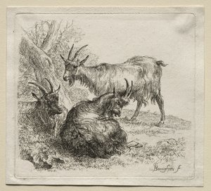 Üç Keçi. by Nicolaes Pietersz. Berchem