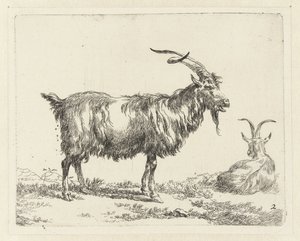 iki keçi Geiten (dizi adı) Studio and Art of Nicolai Berchem tarafından canlandırılan ve güçlü hava için suyla basılan hayvanlar (seri başlığı)