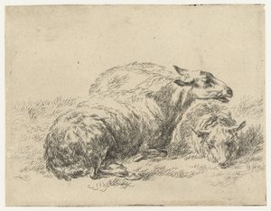 Twee liggende schapen Schapen (dizi adı) Studio ve Arte Nicolai Berchemi tarafından basılan, su ve kudretli gökyüzü ile betimlenen canlılar için hayvanlar (seri başlığı) by Nicolaes Pietersz Berchem