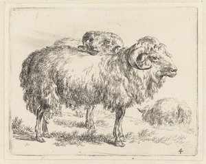 Twee rammen en een schaap Schapen (dizi adı) Studio ve Arte Nicolai Berchemi tarafından basılan, su ve kudretli gökyüzü ile betimlenen canlılar için hayvanlar (seri başlığı)