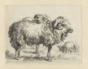 Twee rammen en een schaap Schapen (dizi adı) Studio ve Arte Nicolai Berchemi tarafından basılan, su ve kudretli gökyüzü ile betimlenen canlılar için hayvanlar (seri başlığı) by Nicolaes Pietersz Berchem