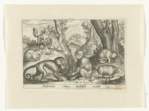 Maymunlar, kediler ve fareler Animalivm qvadrvpedvm (dizi başlığı) Manzaralardaki hayvanlar (dizi başlığı) by Nicolaes de Bruyn