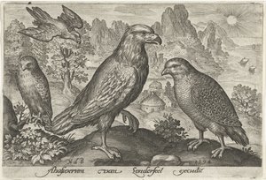 Kartal ve diğer yırtıcı kuşlar Kuşlar ve böcekler (dizi adı) by Nicolaes de Bruyn