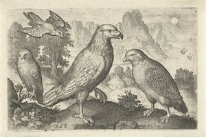 Kartal ve diğer yırtıcı kuşlar Kuşlar ve böcekler (dizi adı) by Nicolaes de Bruyn