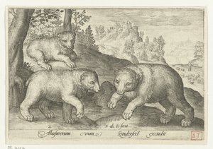 üç ayı Animalivm qvadrvpedvm (dizi başlığı) Manzaralardaki hayvanlar (dizi başlığı) by Nicolaes de Bruyn