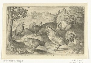 Üç tavuk ve iki horoz Kuşlar ve böcekler (dizi adı) by Nicolaes de Bruyn