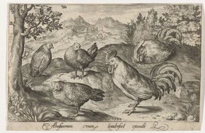 Üç tavuk ve iki horoz Kuşlar ve böcekler (dizi adı) by Nicolaes de Bruyn