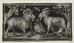 Keçiler ve Tavşan, 1594. by Nicolaes de Bruyn