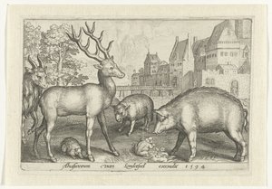 Geyik, kirpi, koyun, kurbağa ve domuz Animalivm qvadrvpedvm (dizi başlığı) Manzaralardaki hayvanlar (dizi başlığı) by Nicolaes de Bruyn
