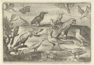 şerbetçiotu ve diğer kuşlar Kuşlar ve böcekler (dizi adı) by Nicolaes de Bruyn