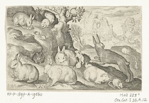 Tavşanlar, sincap, kobay ve fare Animalivm qvadrvpedvm (dizi başlığı) Manzaralardaki hayvanlar (dizi başlığı) by Nicolaes de Bruyn