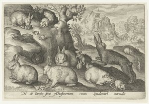 Tavşanlar, sincap, kobay ve fare Animalivm qvadrvpedvm (dizi başlığı) Manzaralardaki hayvanlar (dizi başlığı) by Nicolaes de Bruyn