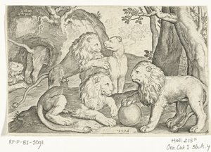 aslanlar Animalivm qvadrvpedvm (dizi başlığı) Manzaralardaki hayvanlar (dizi başlığı) by Nicolaes de Bruyn