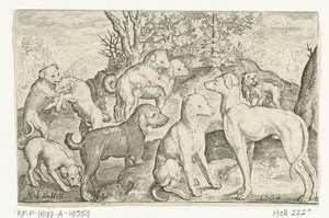 dokuz köpek Animalivm qvadrvpedvm (dizi başlığı) Manzaralardaki hayvanlar (dizi başlığı) by Nicolaes de Bruyn