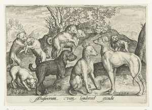 dokuz köpek Animalivm qvadrvpedvm (dizi başlığı) Manzaralardaki hayvanlar (dizi başlığı) by Nicolaes de Bruyn