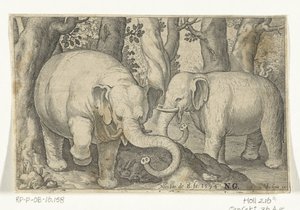 iki fil Animalivm qvadrvpedvm (dizi başlığı) Manzaralardaki hayvanlar (dizi başlığı) by Nicolaes de Bruyn