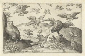 Diğer kuşlar tarafından avlanan baykuş Kuşlar ve böcekler (dizi adı) by Nicolaes de Bruyn