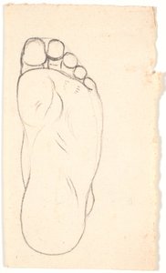 Aşağıdan görülen bir ayağın incelenmesi. topuk t.h. by Nicolai Abildgaard