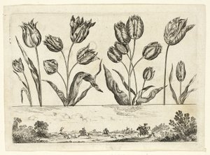 Livre Nouveau de Fleurs