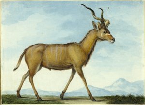  by Nicolas Hüet the Younger