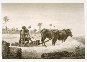 Mısır Hasadı, Cilt II Sanat ve Ticaretten 