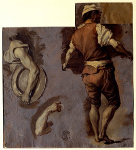 Anatomi, kol hareketleri ve sırt adam çalışması Yağlı boya çizimi Nicolas Vleughels (1668-1737) Sun. 0,28x0,25 m