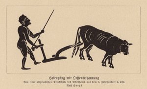 Antik Yunan öküzle çekilen saban (lito) by Nikosthenes