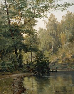  by Nils Hansteen