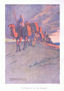 Çölde bir kervan