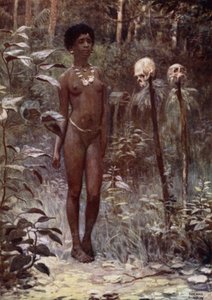 Bir Tapu Virgin, Britanya Solomon Adaları (renkli taş) by Norman Hardy