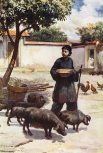 Çin: Bir avlu (renkli taş) by Norman Hardy