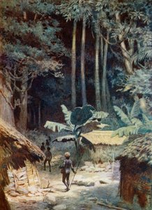 Bir Melanezya ormanının derinliklerinde, 1908 by Norman Hardy