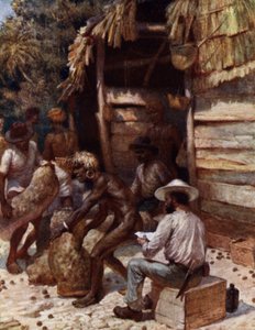 Johnnie Pratt, Fildişi Fındıkları ile Simbo, Solomon Adaları