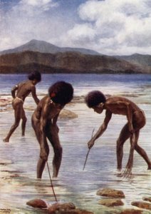 Gelgit, Samari, Britanya Yeni Gine (renkli lito) resifte küçük Ahtapot aranıyor by Norman Hardy
