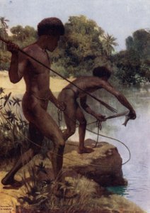 Mızrak Balığı, İngiliz Yeni Gine (renkli taş) by Norman Hardy