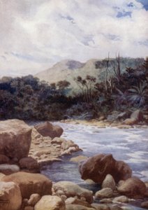 Rapids, Williams Nehri, Eromanga Adası, Yeni Hebridler (renkli taş) by Norman Hardy