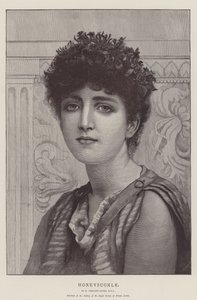 Hanımeli