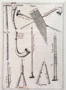 Francesco Bianchini