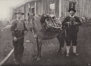 Pack-Horse ile Saetersdalen Highlanders by Norwegian Photographer