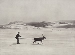 Dağlarda Ren Geyiği ile Kayak Sürüşü by Norwegian Photographer