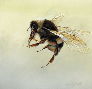  by Odile Kidd