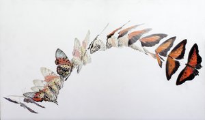 by Odile Kidd