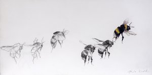  by Odile Kidd