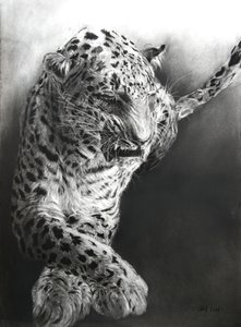  by Odile Kidd