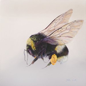  by Odile Kidd
