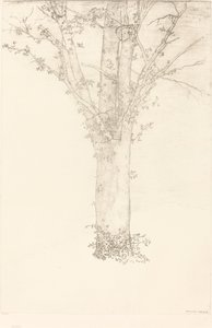 Ağaç by Odilon Redon