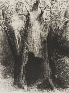 Yalnızlığa Daldım. Arkamdaki Ağaçta Yaşadım, plaka 9 / 24 by Odilon Redon
