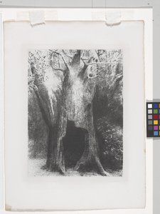 Yalnızlığa Battım (çine aplikeli kağıt üzerine litografi) by Odilon Redon